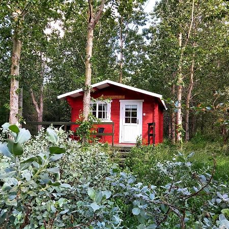 Bakkakot 3 Cozy Cabin In The Woods Akureyri Eksteriør billede