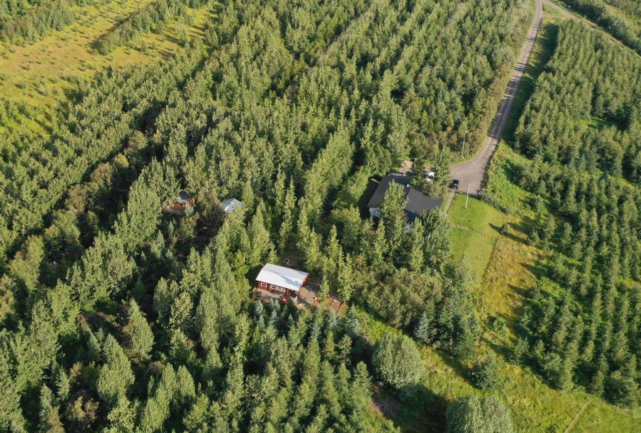 Bakkakot 3 Cozy Cabin In The Woods Akureyri Eksteriør billede