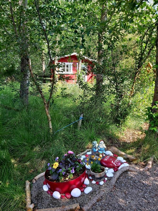 Bakkakot 3 Cozy Cabin In The Woods Akureyri Eksteriør billede