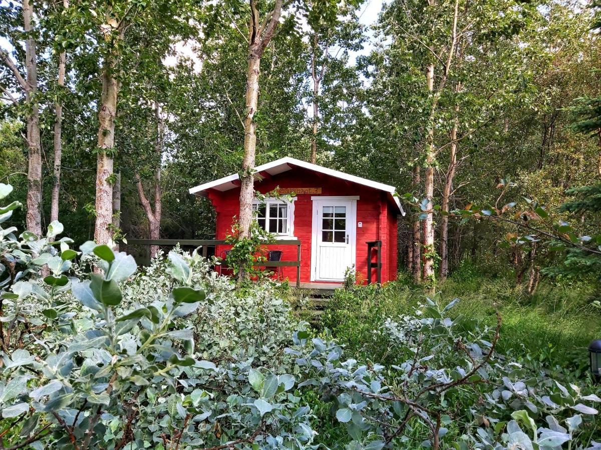Bakkakot 3 Cozy Cabin In The Woods Akureyri Eksteriør billede