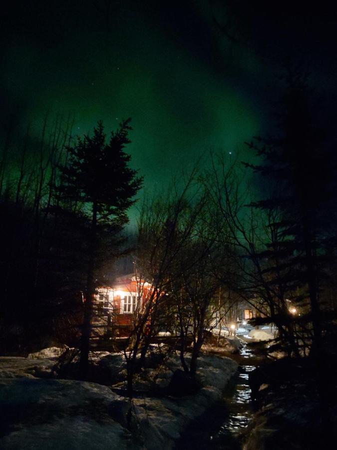 Bakkakot 3 Cozy Cabin In The Woods Akureyri Eksteriør billede